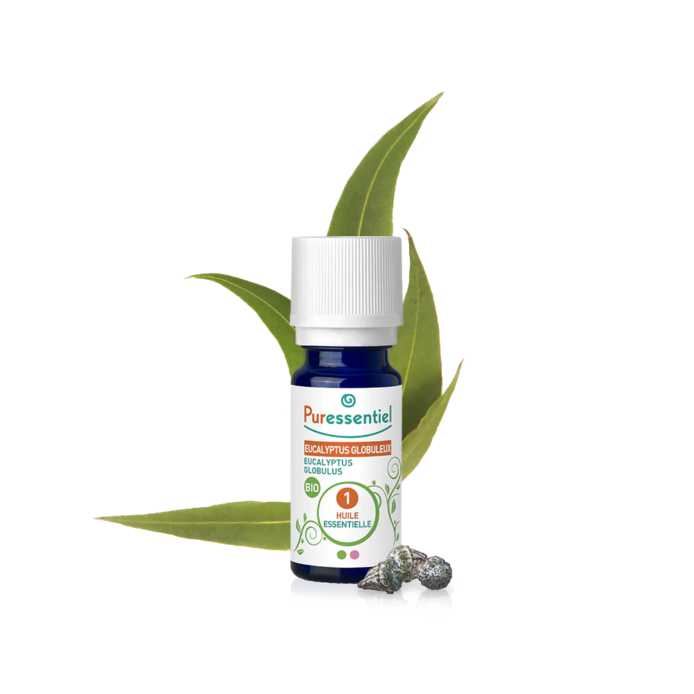 Eucalyptus Globular Bio