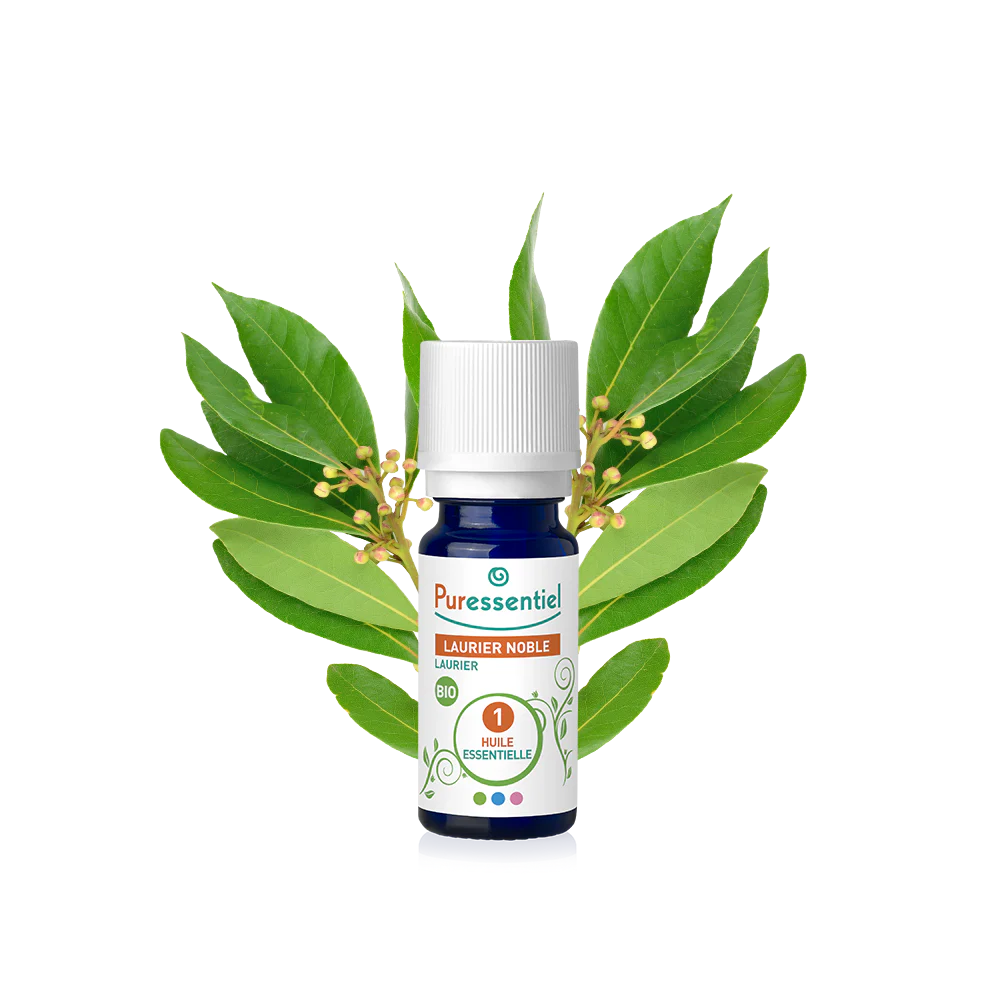 Noble Bay Laurel