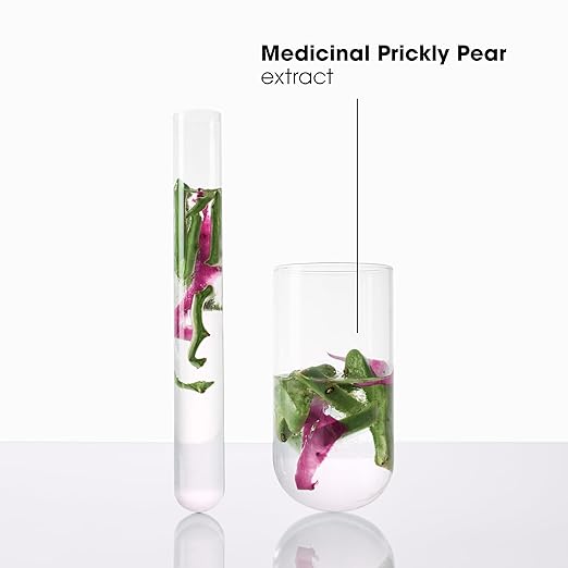 Klorane Plumping Mask with Prickly Pear – product image 4