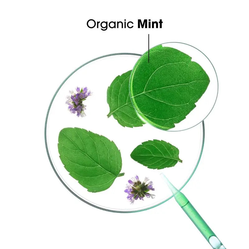 Klorane Organic Aquatic Mint Shampoo