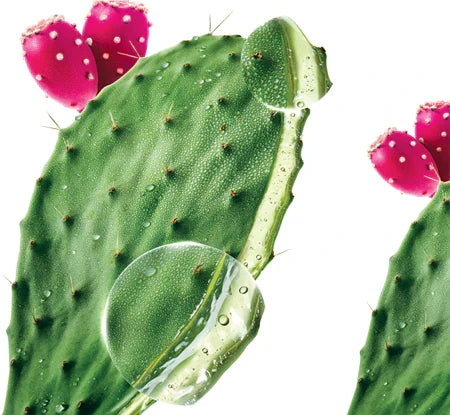Klorane Prickly Pear Thirst-Quenching Shampoo – product image 8